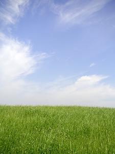 島ぞうり,名入れ